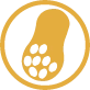 Allergen - May Contain Peanuts