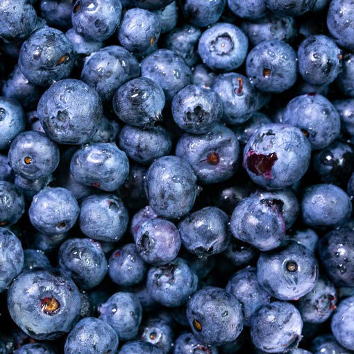 Picture of Blueberries (10x150g)