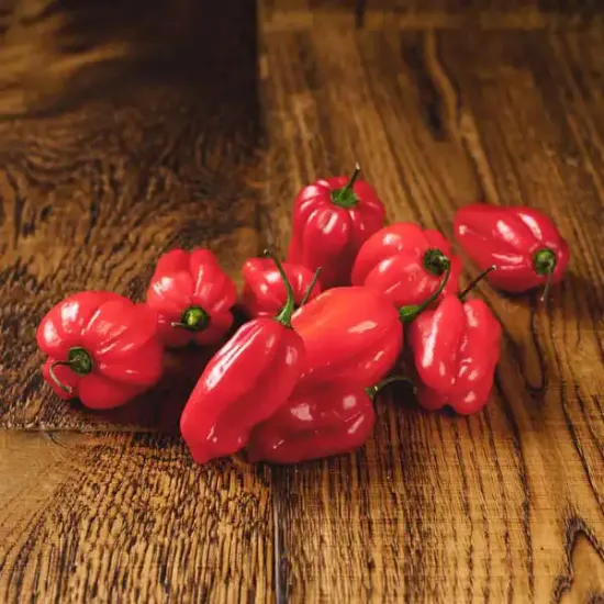 Habanero Chillies (V3713_P5)