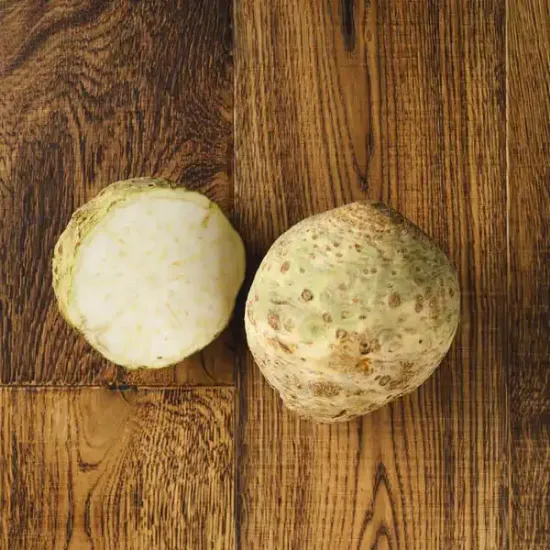 Celeriac (V2563_P5)