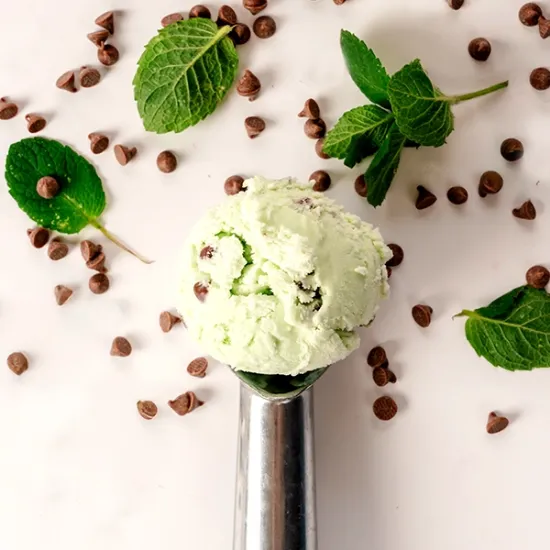 Mint Chocolate Chip Ice Cream (30210_P1)