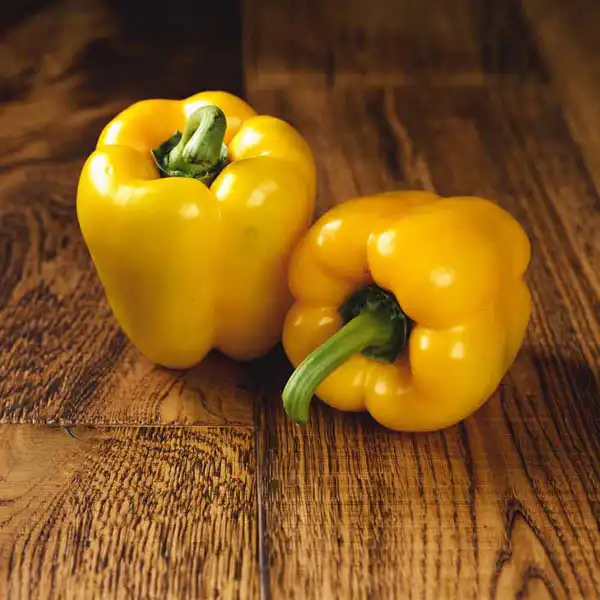 Yellow Pepper (V9046_P5)