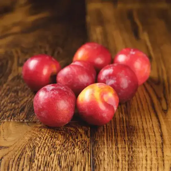 Plums (V3708_P5)