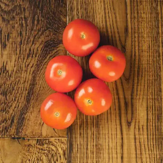 Salad Tomatoes (V2556_P5)