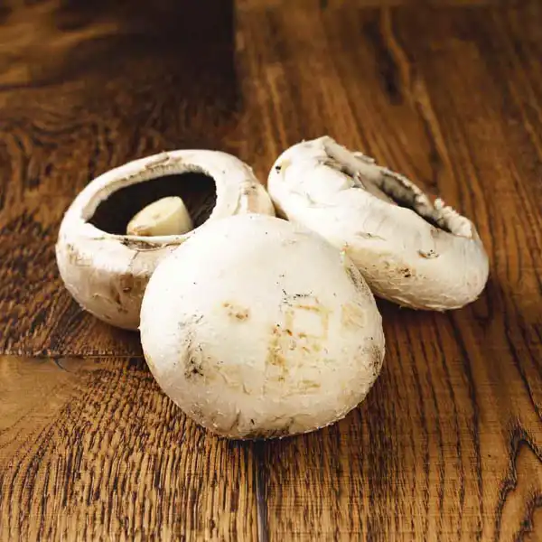 Flat Mushrooms (V2502_P5)
