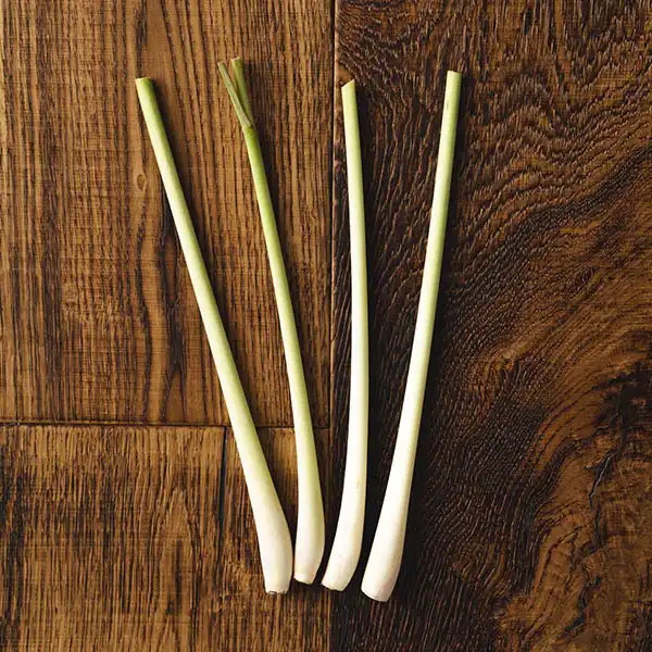 Lemongrass (V2262_P5)