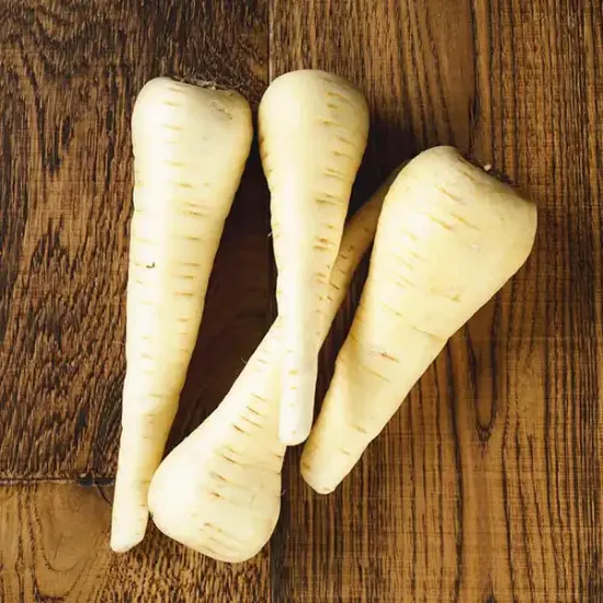 Parsnips (V1845_P5)
