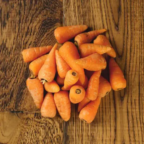 Chantenay Carrots (V1843_P5)