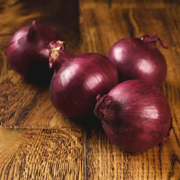 Red Onions (V1818_P5)