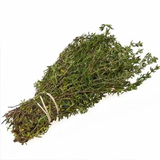 Thyme (V1771_P5)