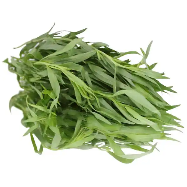 Tarragon (V1770_P5)