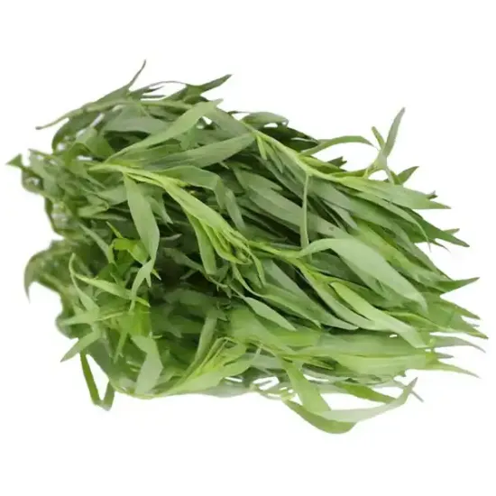 Tarragon (V1770_P5)