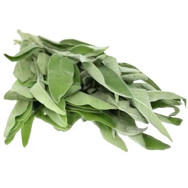Sage (V1769_P5)