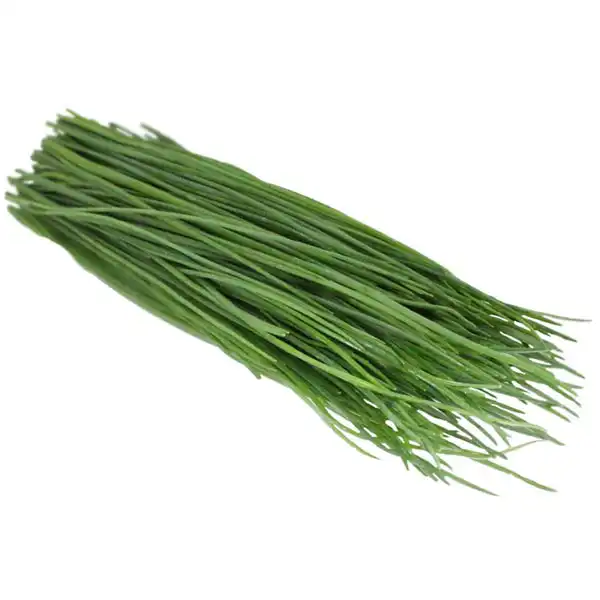 Chives (V1766_P5)