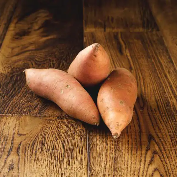 Sweet Potatoes (V1698_P5)