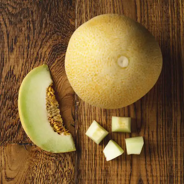 Galia Melon (V1384_P5)