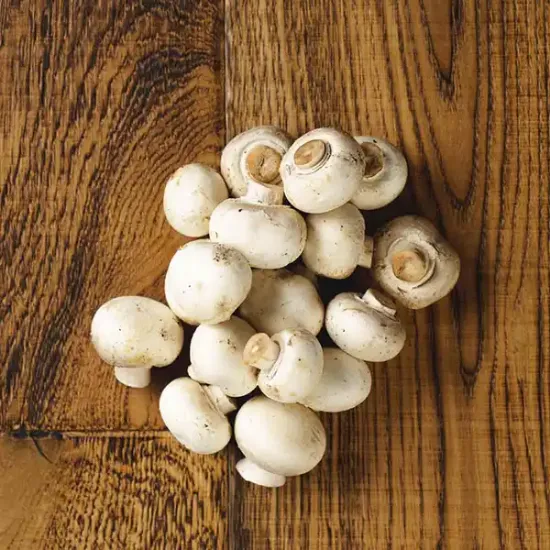 Button Mushrooms (V1228_P5)