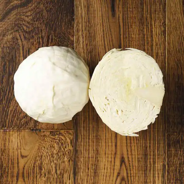 White Cabbage (V1206_P5)