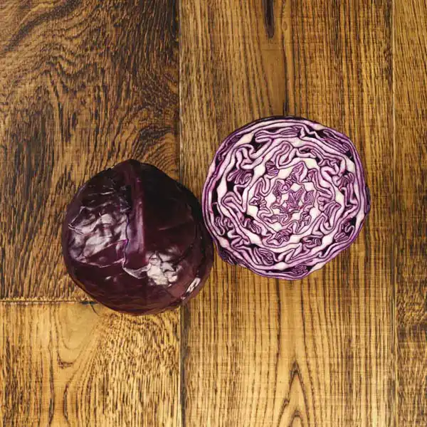 Red Cabbage (V1205_P5)
