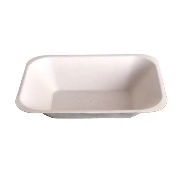Bagasse No 2 Trays (D4341_P5)