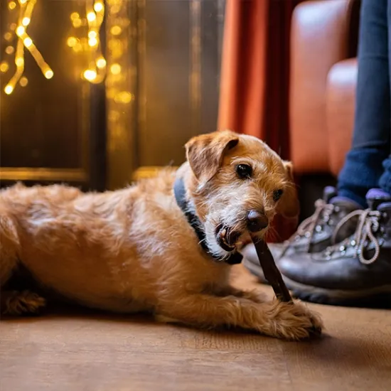 Buffalo Dog Chews (AD109_P1)