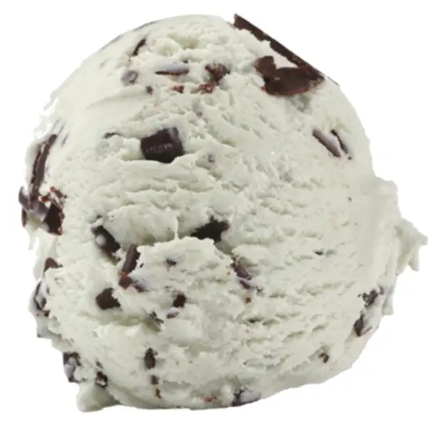 Mint Choc Chip Ice Cream (849979_P2)