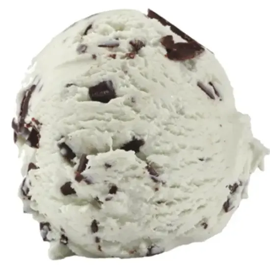 Mint Choc Chip Ice Cream (849979_P2)