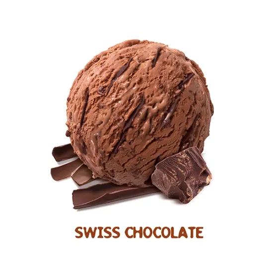 Swiss Chocolate Ice Cream (849971_P5)