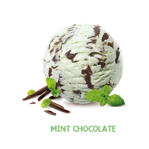 Mint Chocolate Ice Cream (849918_P5)