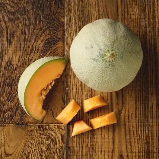 Cantaloupe Melon (V1026_P5)