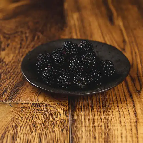 Blackberries (V1498_P5)