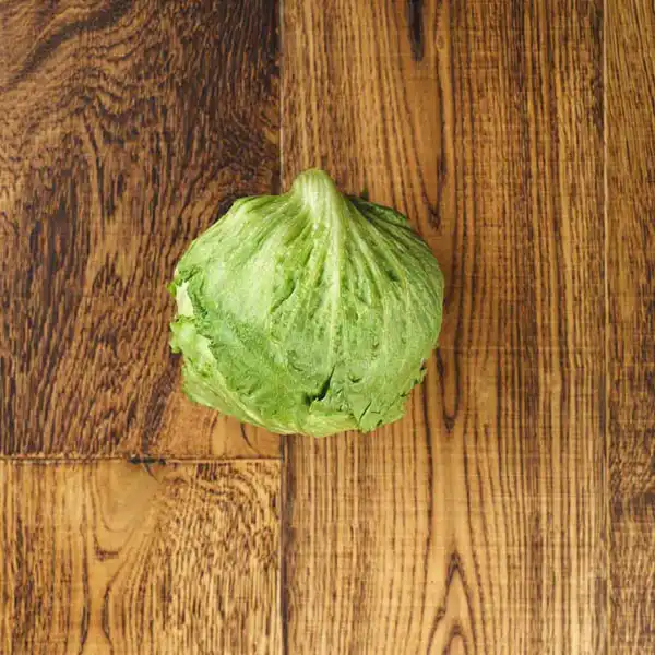 Iceberg Lettuce (V1373_P5)