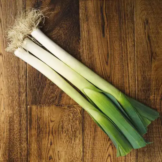 Leeks (V1860_P5)