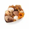 Woodland Mushroom Mix (0178_P5)