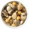 Woodland Mushroom Mix (0178_P1)
