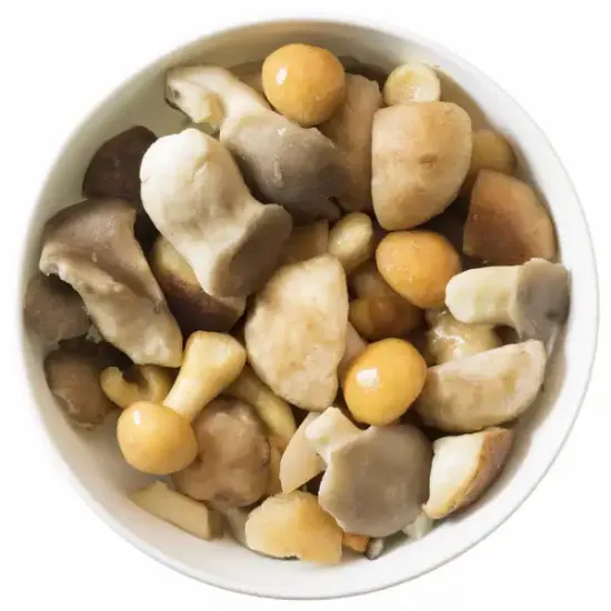 Woodland Mushroom Mix (0178_P1)
