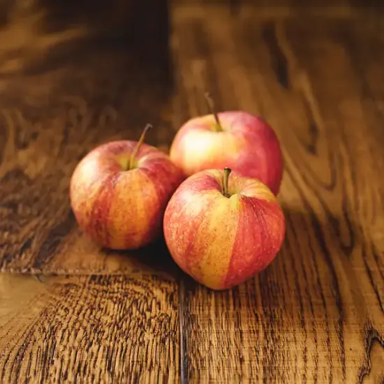 Royal Gala Apples (v2992p1)