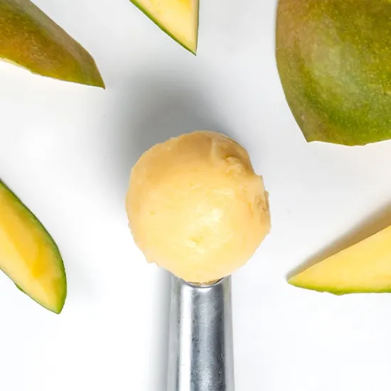 Mango Sorbet (30138p1)