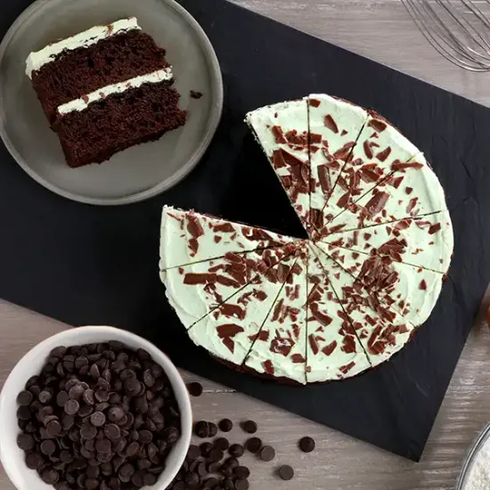 Gluten Free Mint Chocolate Chip Cake (1148p1)