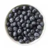 Wild Blueberries (0213p5)