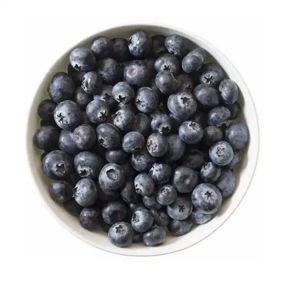 Wild Blueberries (0213p5)