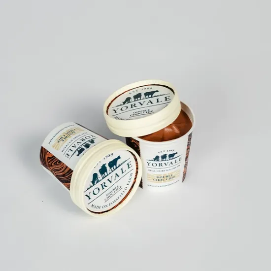 Double Chocolate Chip Ice Cream (30122p2)