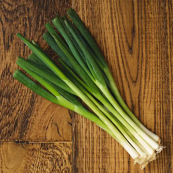 Spring Onions (v2653p1)