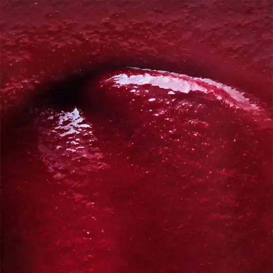 Morello Cherry Frozen Fruit Puree (02038p1)
