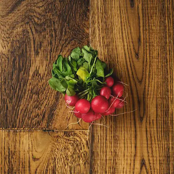Radish Cones (v1299p5)