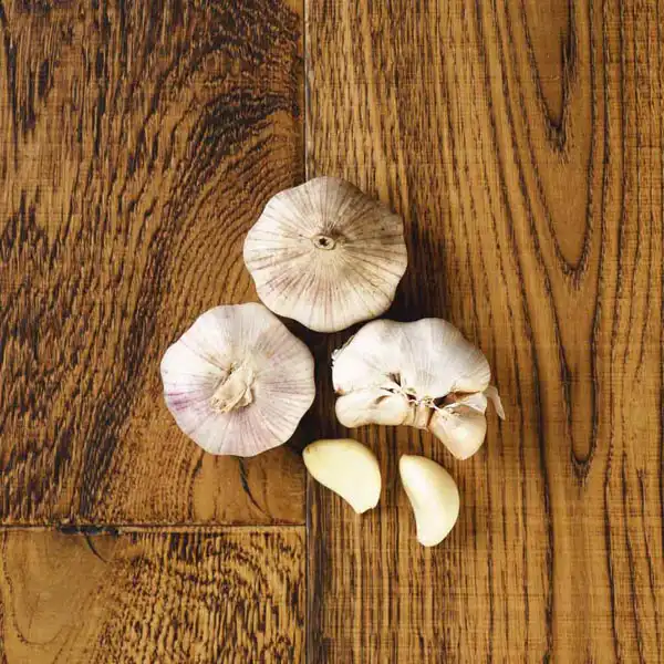 Garlic Bulbs (v1859p5)