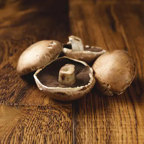 Portobello Mushrooms (v1233p5)