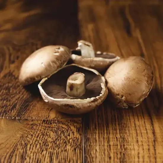 Portobello Mushrooms (v1233p5)