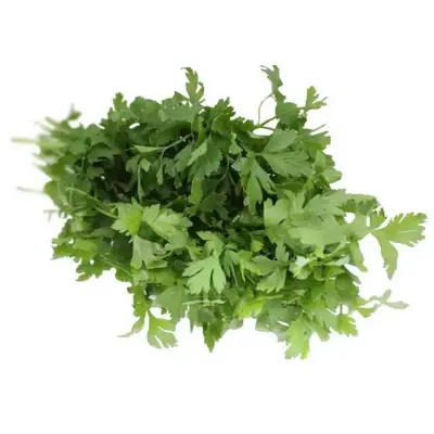 Flat Leaf Parsley ()
