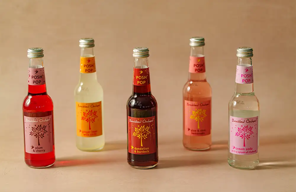 Our Top Alcohol Free Alternatives for Dry January